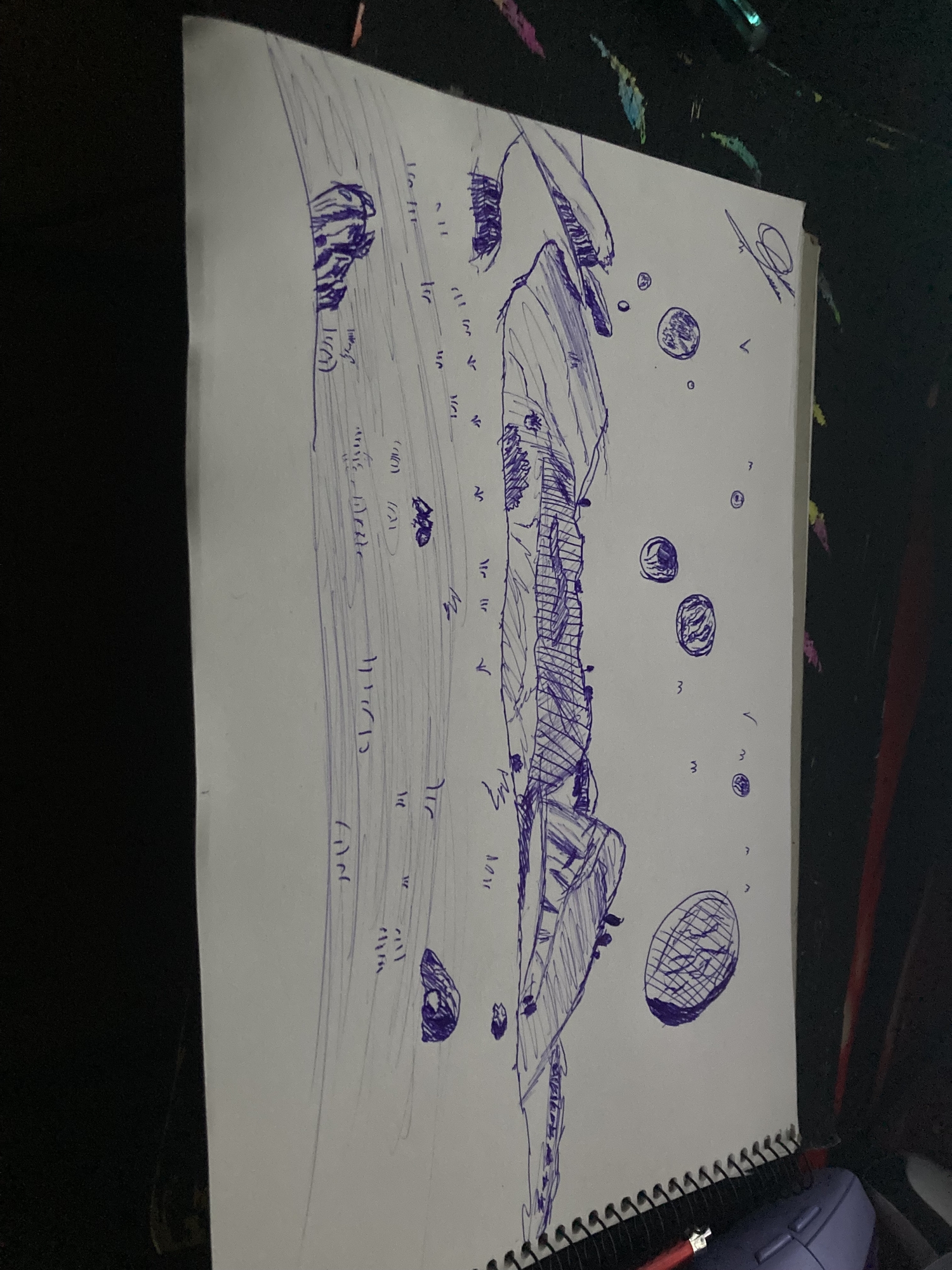 IMG_3670.jpeg